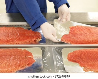 Salmon Factory