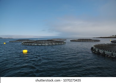 Salmon Farm In The Bay Of Fundy Canada 