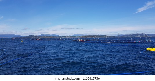 Salmon Farm Cages In Norway