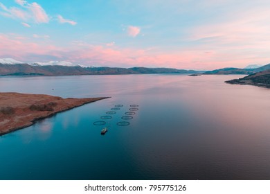 Salmon Farm Fishery At Sunrise In Scotland