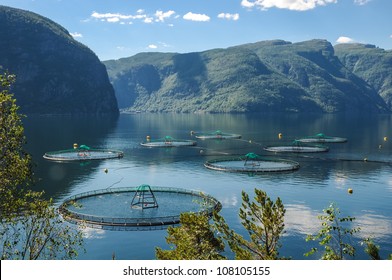 A Salmon Farm In A Fjord In Norway