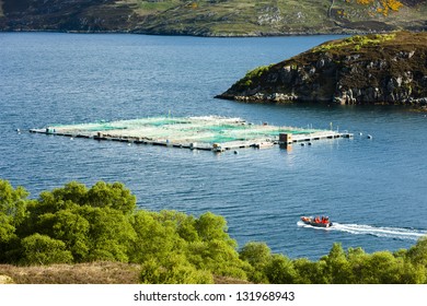 Salmon Farm, Loch A Chairn Bhain, Highlands, Scotland