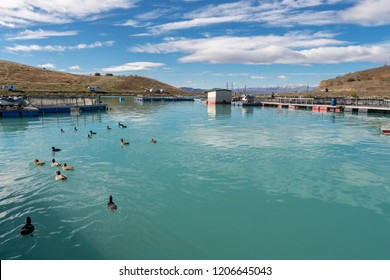 Salmon Farm In New Zealand