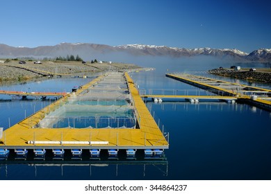 Salmon Farm In New Zealand In The Morning