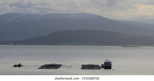 Salmon Farm On West Coast Scotland