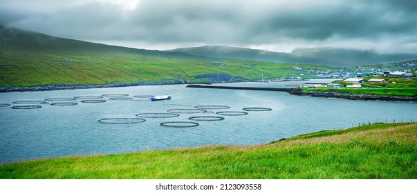 Salmon farming near the Village of Sandavagur located on the island of Vagar, Faroe Islands, Denmark.