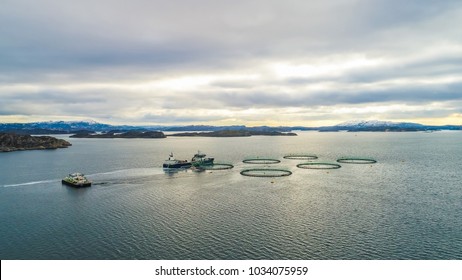 Salmon Fish Farm. Bergen, Norway.