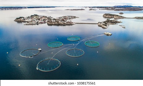 Salmon Fish Farm. Bergen, Norway.