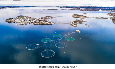 Salmon Fish Farm. Bergen, Norway.