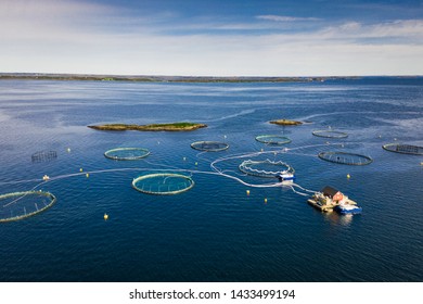 Salmon Fish Farm In Norway Fjord