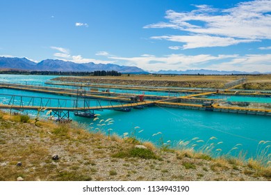 Salmon Fish Farm , South Island, New Zealand, Summertime