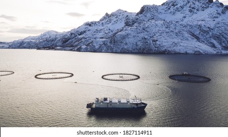 Salmon Fish Farming In Norway Sea. Food Industry, Traditional Craft Production, Environmental Conservation. Aerial View Of Round Mesh For Growing And Catching Fish In Arctic Water Surrounded By Fjords