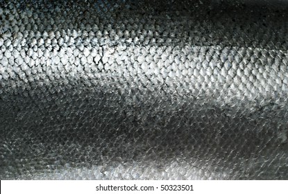 Salmon Fish Scales Grunge Texture Back Ground