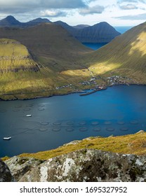 Salmon Fishery In The Oyndar Fjord, Faroe Islands.