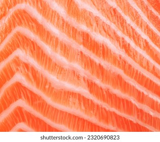 Salmon fresh pink flesh texture or salmon fillet closeup.