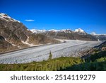 The Salmon Glacier in the Coast Mountains of northern British Columbia