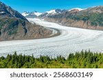 Salmon glacier with pine trees along Cassiar Highway, Stewart, British Columbia, Canada.