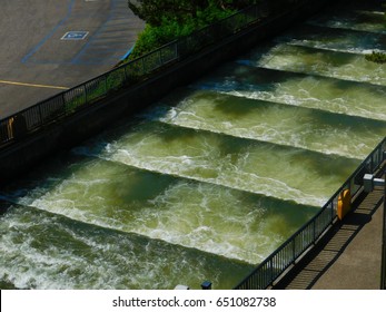 Salmon Ladder Bonneville Dam On Columbia Stock Photo 651082738