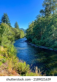 Salmon River Near Mount Hood, Oregon