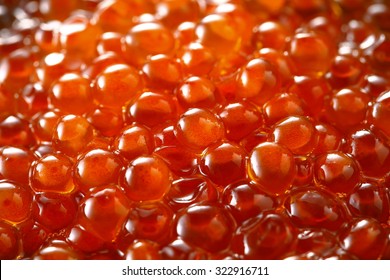 Salmon Roe