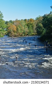Salmon Run Season in Pulaski Upstate New York - Shutterstock ID 2150134371