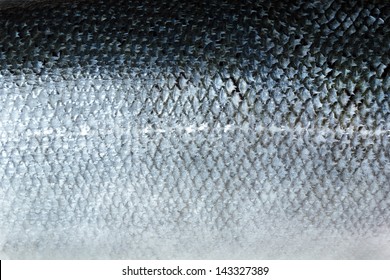 Salmon Skin Texture Background