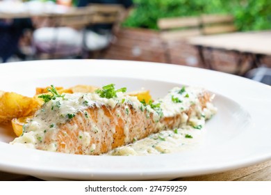 Salmon Steak Cream Sauce