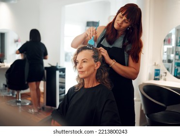 Salon, hair color and hairdresser working on a client for professional hair care, beauty and makeover. Hairstylist, elderly woman and hairdressing service with the dye process for hairstyle at parlor - Powered by Shutterstock