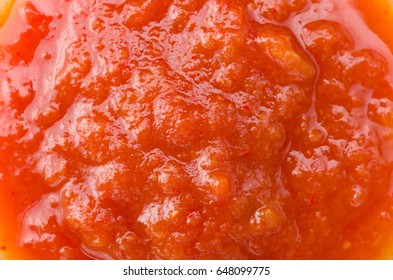 Salsa Sauce