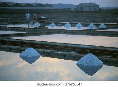 Salt Collecting In Slovenia