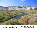 Salt Creek is home to a species of pupfish, Cyprinodon salinus. Death Valley, California