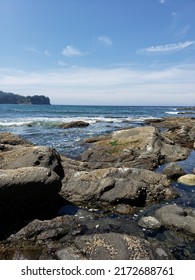 Salt Creek Rocky Beach Washington 