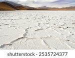 Salt crust in the shore of lagoon and salt lake Tuyajto, Altiplano (High Andean Plateau), Los Flamencos National Reserve, Atacama desert, Antofagasta Region, Chile, South America