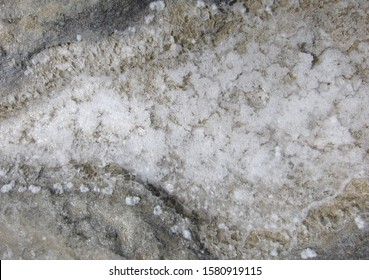 Salt crystals on limestone rocks near Mediterranean sea                      