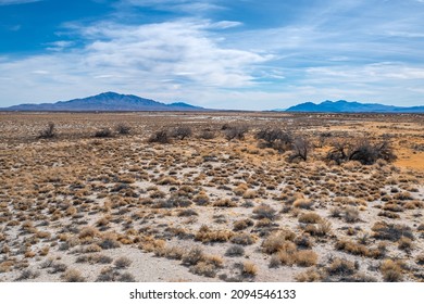 Salt Desert Scrub vegetation community at Ash Meadows National Wildlife Refuge in Nye County, Nevada.
