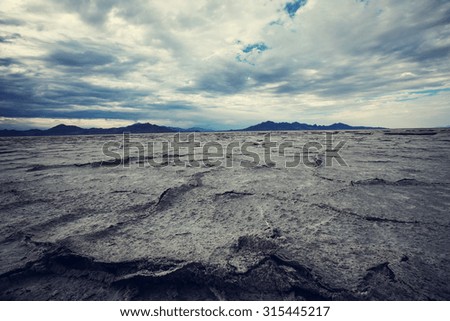 Similar – Image, Stock Photo Salt marsh on the North Sea.