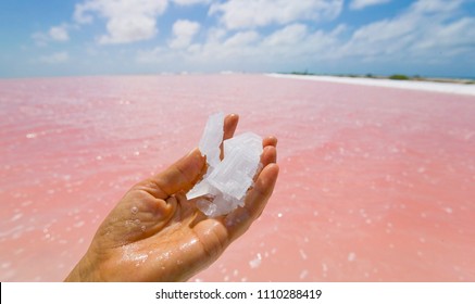 Bonaire Salt Images Stock Photos Vectors Shutterstock