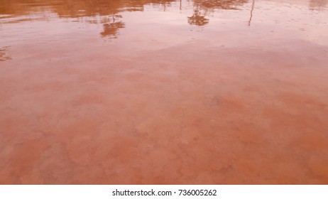 Salt extraction in the river