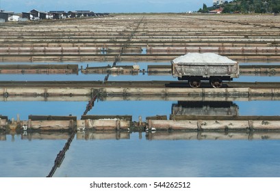 Salt Field Near Piran, Slovenia