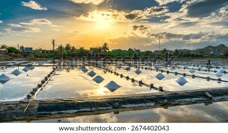 The salt fields at sunset are beautiful, reflecting the sky onto the sparkling water as many workers harvest salt in time for the end of the day in Hon Khoi, Khanh Hoa, Vietnam