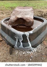 Salt Formation On Mineral Lick On The Farm.