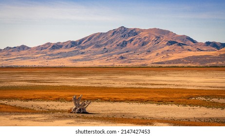 Salt Lake City, Utah, USA Barren Landscape At The Great Salt Lake.