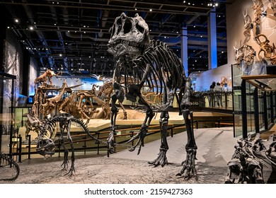 Salt Lake City, Utah USA - March 16th, 2022: Dinosaurs At Natural History Museum Of Utah