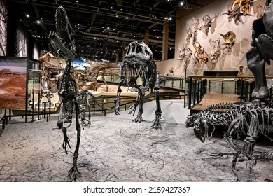 Salt Lake City, Utah USA - March 16th, 2022: Dinosaurs At Natural History Museum Of Utah