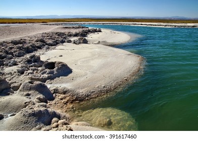 Salt lake formations on shore of hypersaline Cejar Lagoon, Atacama Desert, Chile