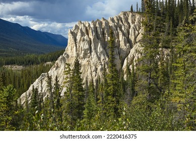 Salt Lick In Muncho Lake Provincial Park,British Columbia,Canada,North America
