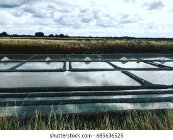 Salt Marsches At Île De Ré, France