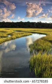 Salt Marsh At Clam Creek On Jekyll Island, Georgia.