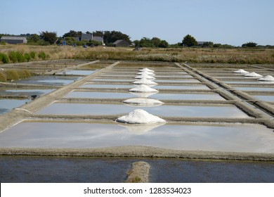 Salt Marsh In Guerande