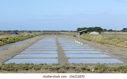 Salt Marsh In The Ile De Re, France